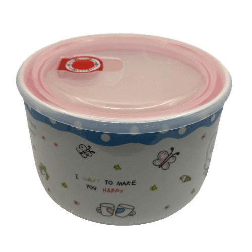 Ceramic Bowl with Lid & Handle Microwave For Instant Noodle Cereal Bowl
