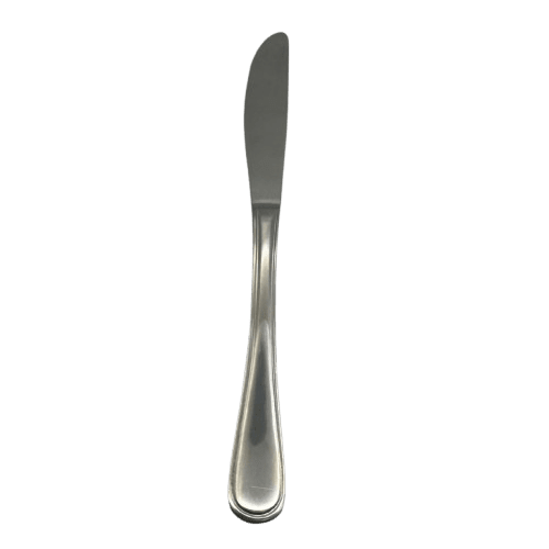 Stainless Steel Dinner Knife